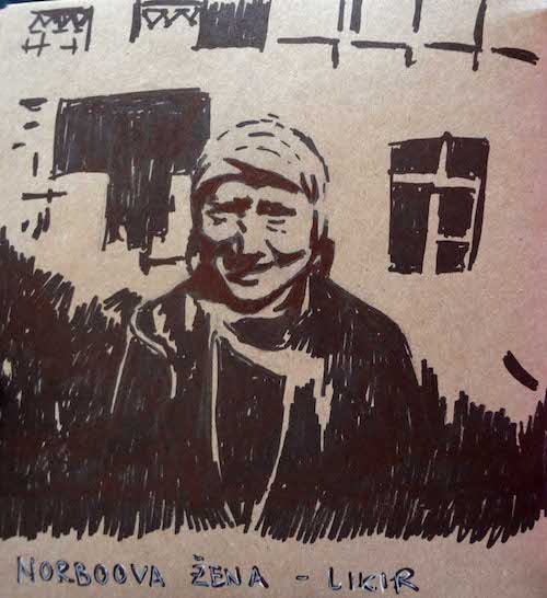 Himaláje - dobrovolnictví v Ladakhu 2014