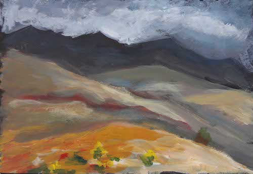 Himaláje - dobrovolnictví v Ladakhu 2014