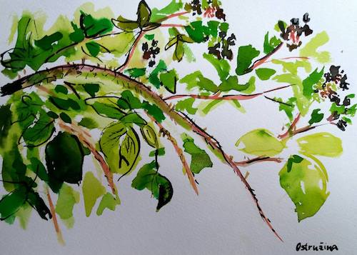 Alenka v říši hraček