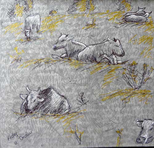 Turecko-Gruzie-Arménie 2013