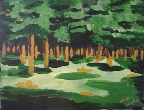 Turecko-Gruzie-Arménie 2013