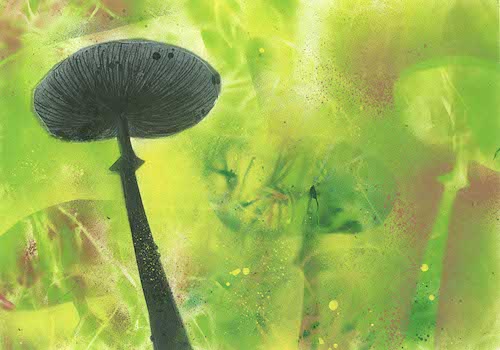 Bába Bedla - Markéta Pilátová 2021 Meander