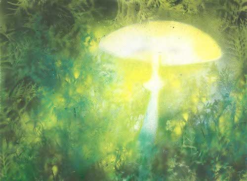 Bába Bedla - Markéta Pilátová 2021 Meander