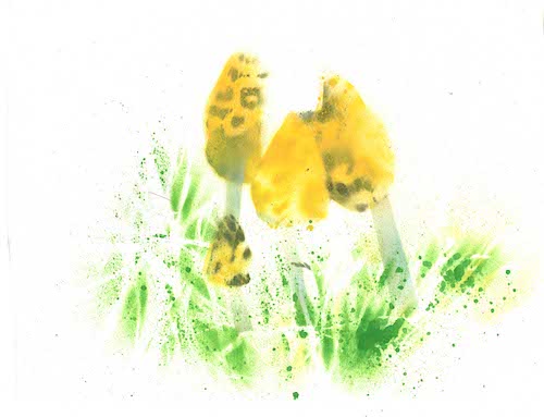 Bába Bedla - Markéta Pilátová 2021 Meander