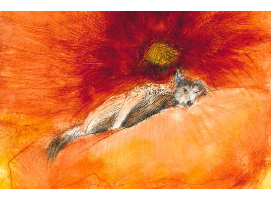 Kniha Babi - Martina Trchová