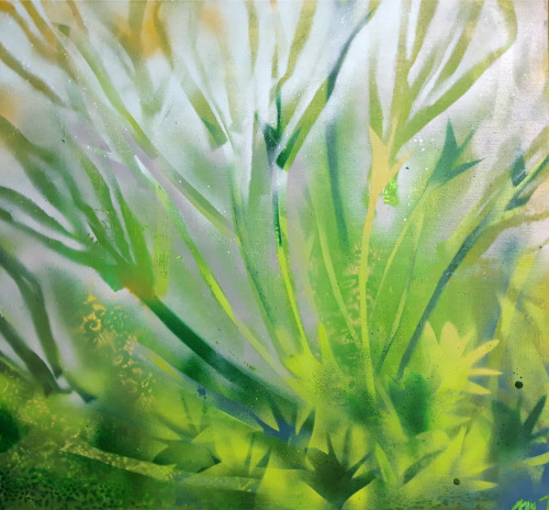 Koniklece a jiné světy