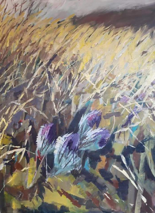 Koniklece a jiné světy