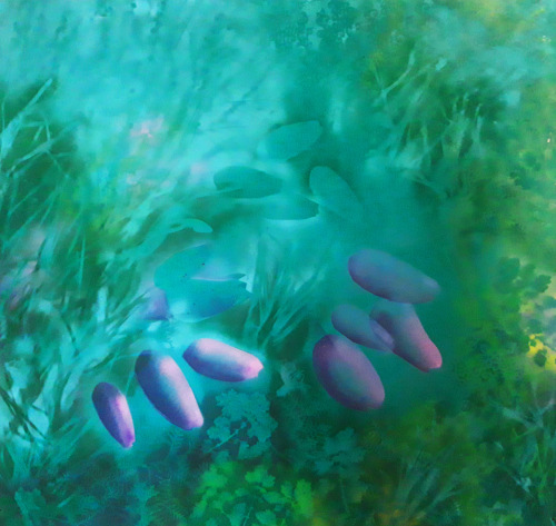 Koniklece a jiné světy